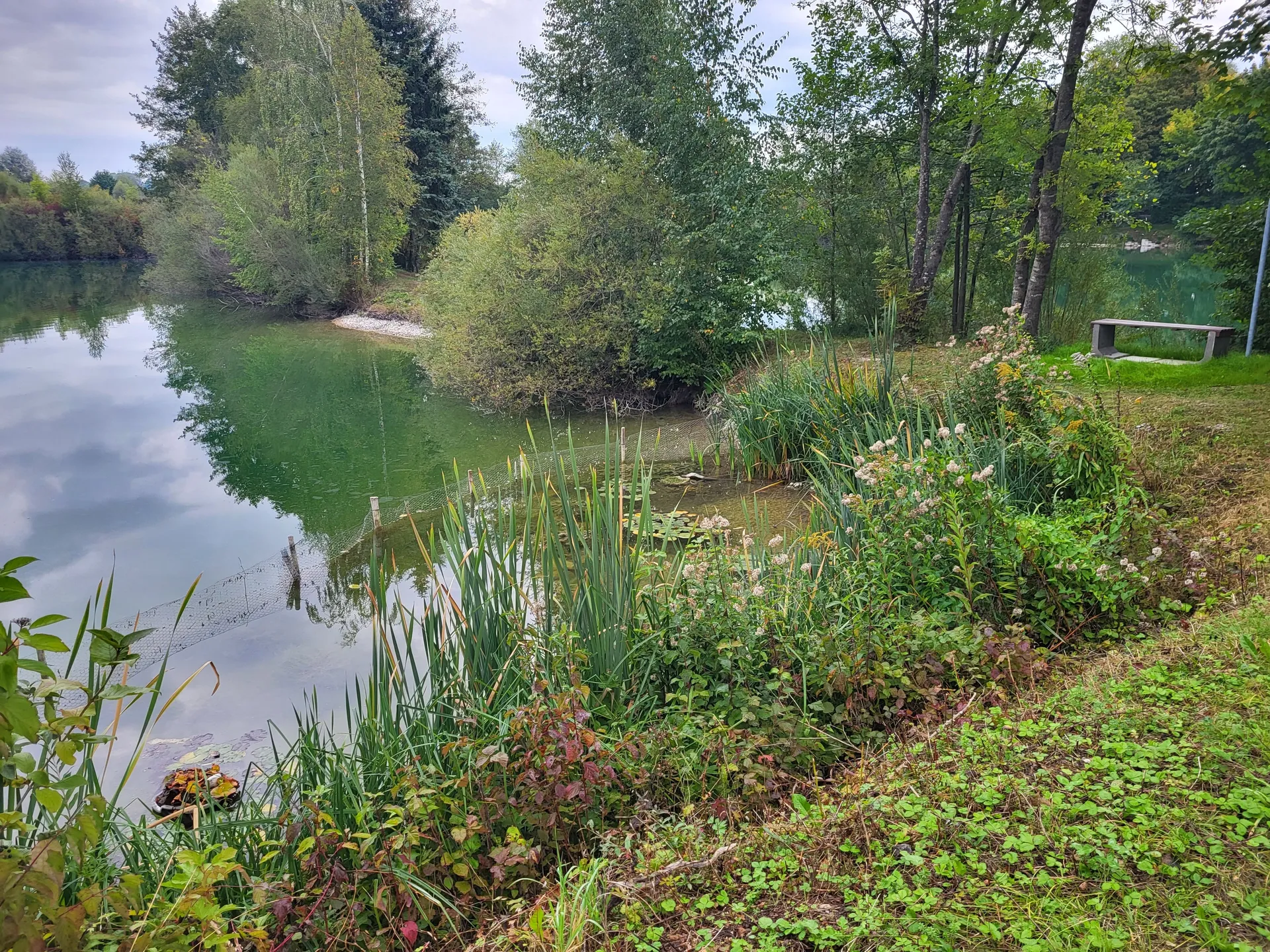 Malerische Ansicht des Bauernhof Weihers 4