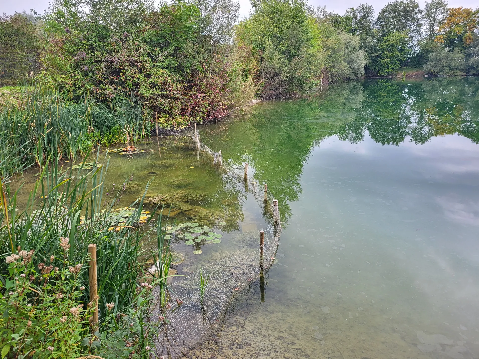 Malerische Ansicht des Bauernhof Weihers 5