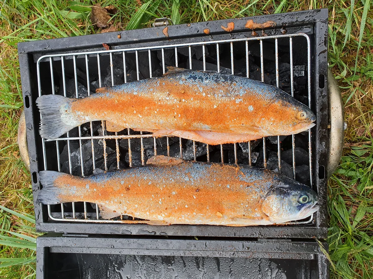 Forellen vom Grill bei einer Vereinsveranstaltung