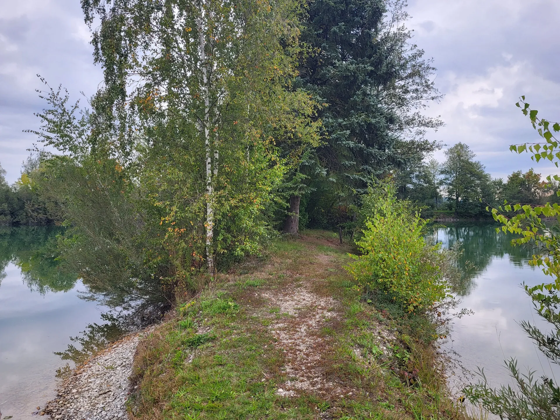 Impressionen des Straßenweihers 4